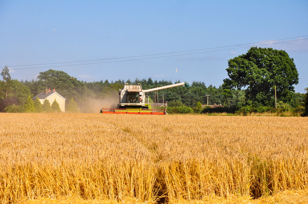Combine harvester working on a wheat field In Bradfield St… Flickr