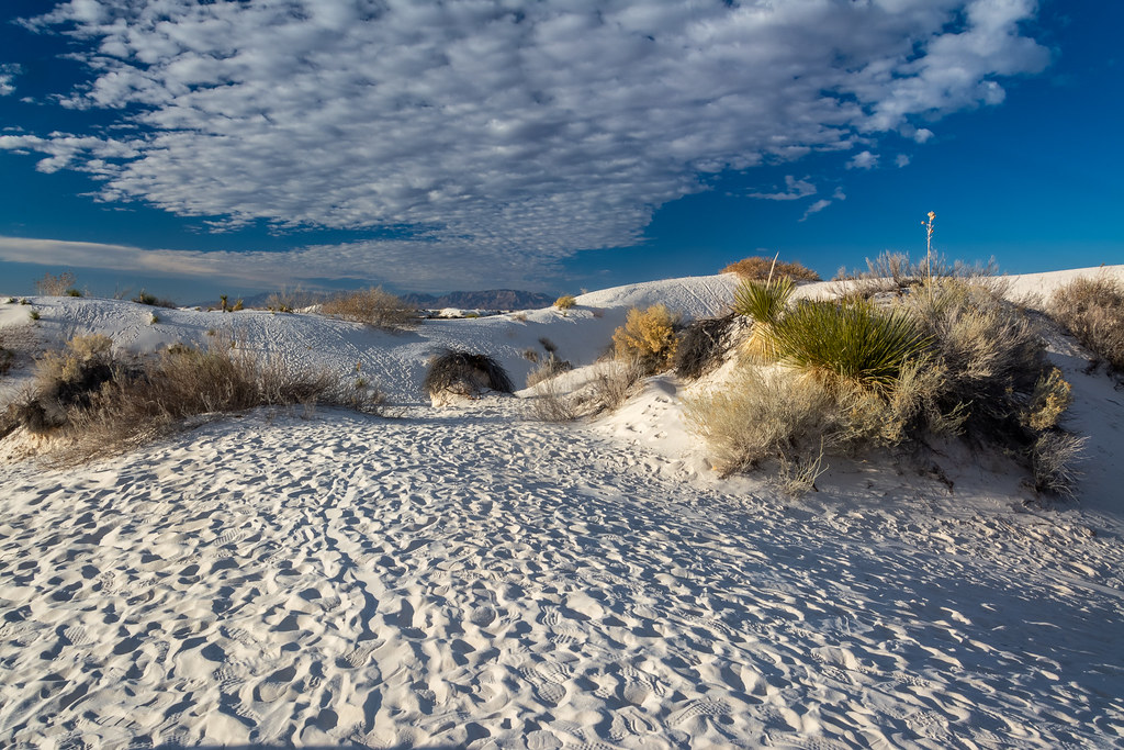 5 Best Hikes in White Sands National Park Trailhead Traveler