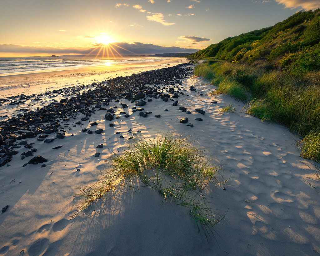 Blackhead Beach Blackhead Beach is one of Dunedin's local … Flickr