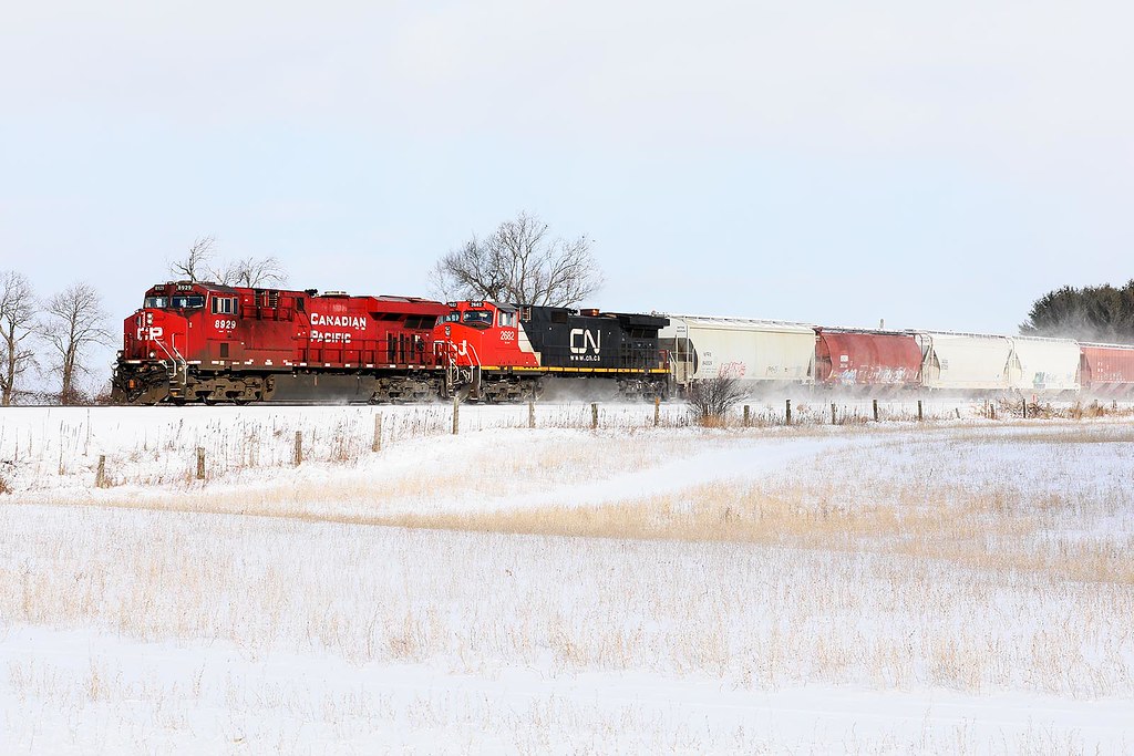 CN on CP...Drumbo Ontario Train 241 Dave Brook Flickr