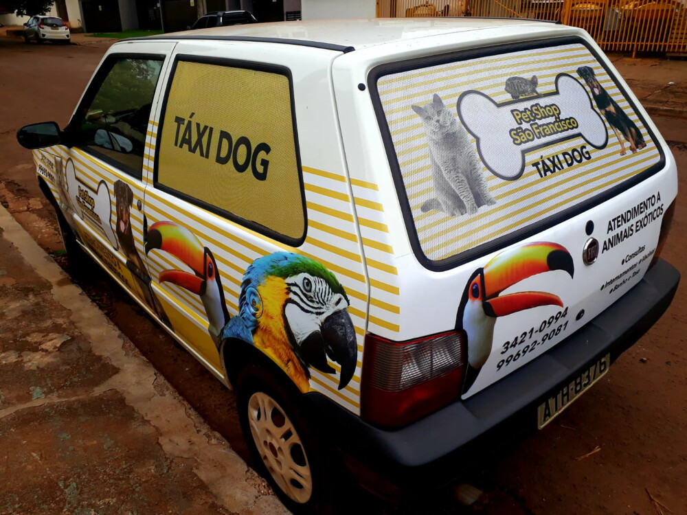 Pet Shop São Francisco Pet Shop São Francisco Flickr