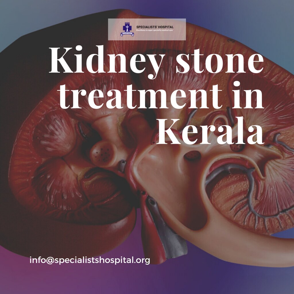 Kidney stone treatment in Kerala Specialist Hospitals Flickr