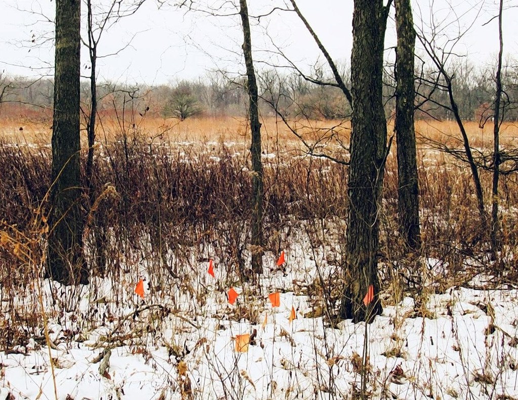 Ground Control Demmer S Flickr