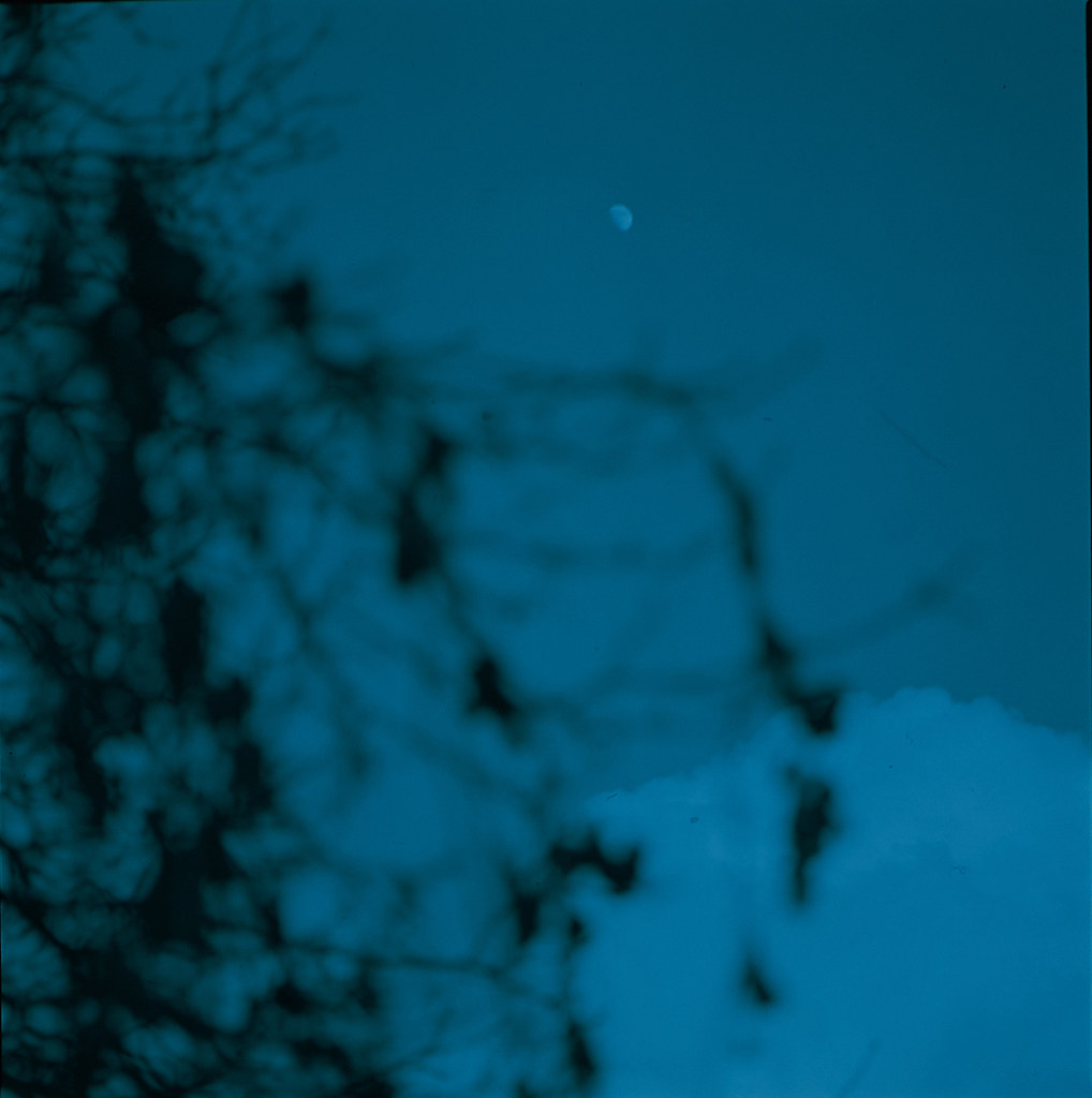 DSC_0880 Ilford XP2 C41 film cross process in E6. ISO400 1… Flickr