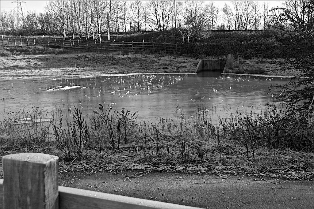 Beverley Road Skidby Monochrome Flooded field at Skidby Ea… Flickr