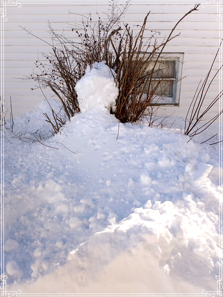 side of garage Donna Flickr