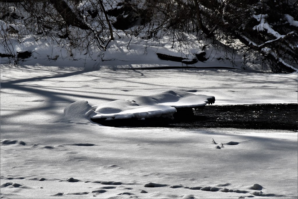Danford Island Park Dimondale Michigan frozen river. karen L Flickr