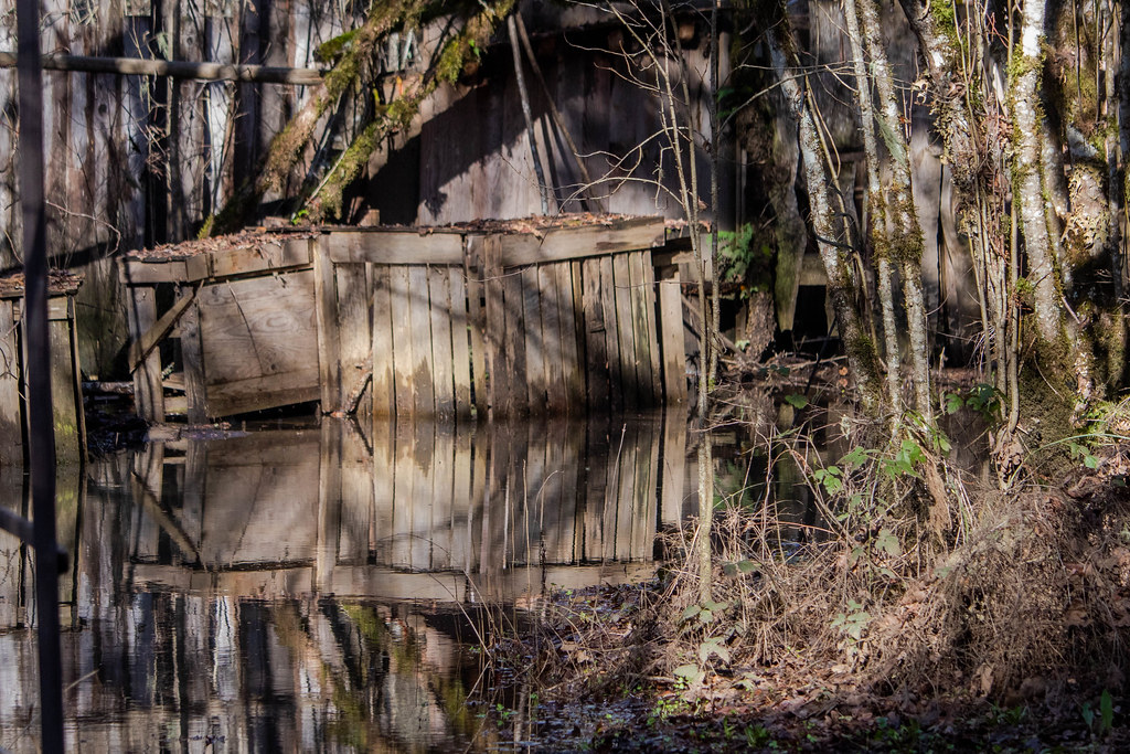 Oregon Country Fairgrounds Winter in the longest offseason… Flickr