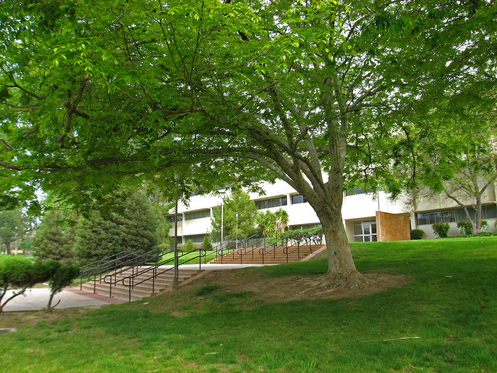 Live Oak Hall Flickr