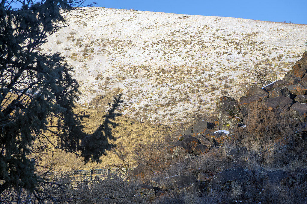 A very rocky backyard in Inkom City, Idaho. Ralph Maughan Flickr