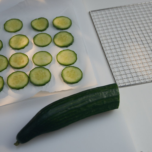 Dehydrating cucumber slices Slices of cucumber on baking p… Flickr