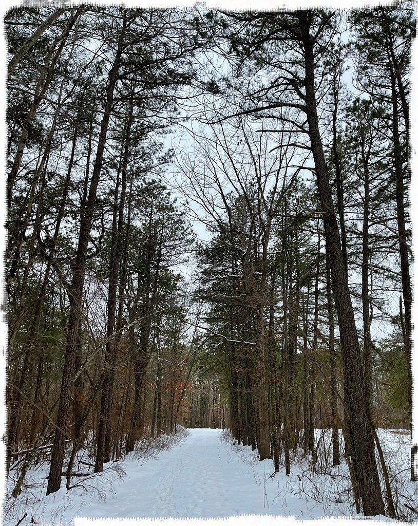 Alder Trail Mad Hare Imagery Flickr