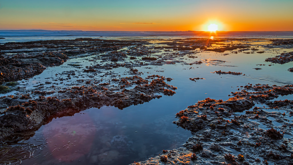 Davenport Landing tide pools Davenport, CA Jason Wright Flickr