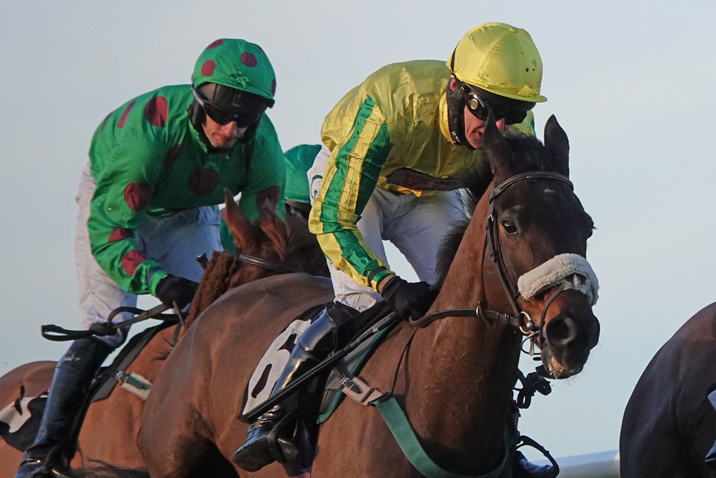 En Coeur (Sean Houlihan) Plumpton, 25 January 2021. Novice… Flickr