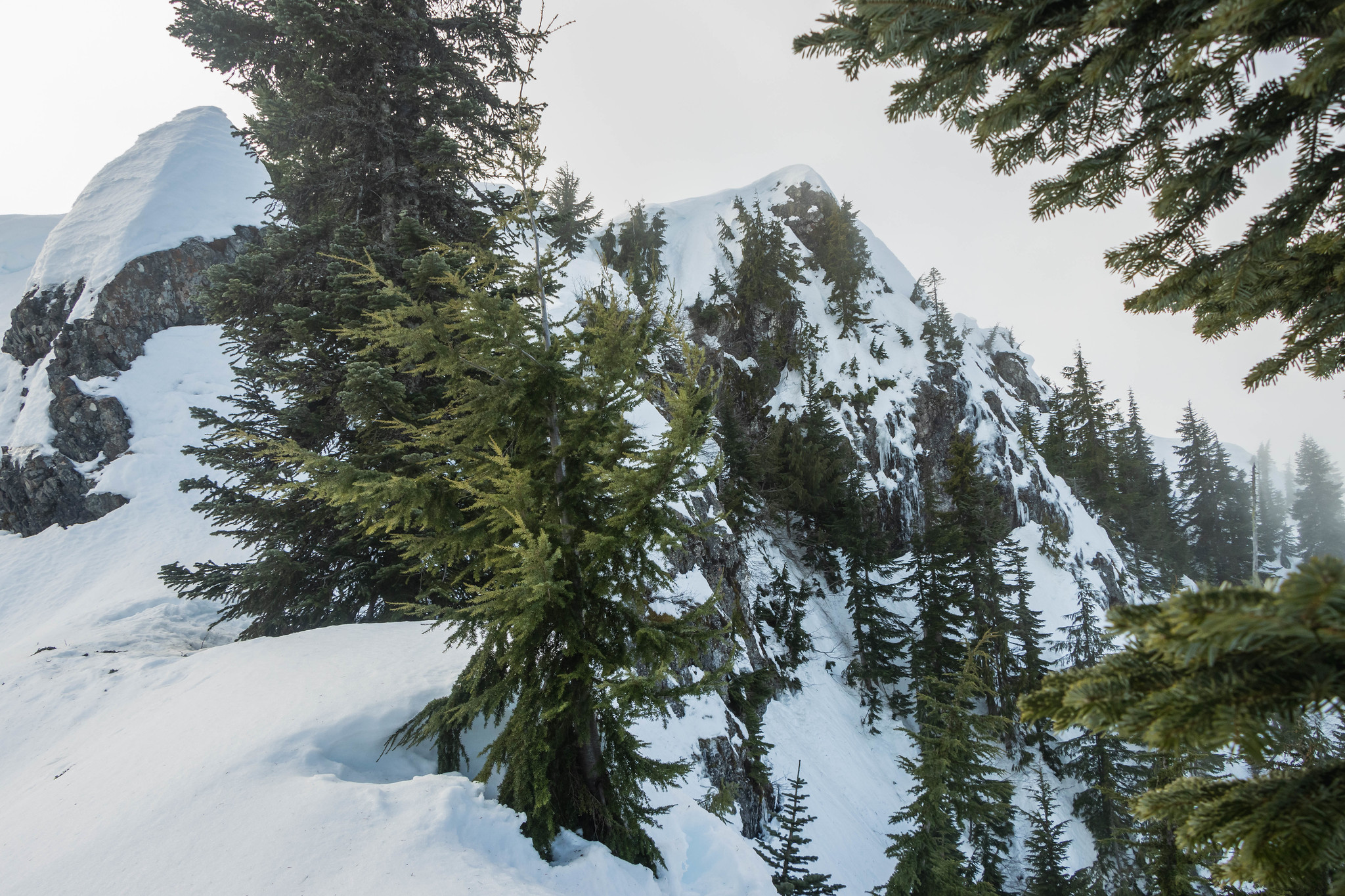 Lightning Peak by Lake Cushman via Copper Creek Trail / 閃電峯