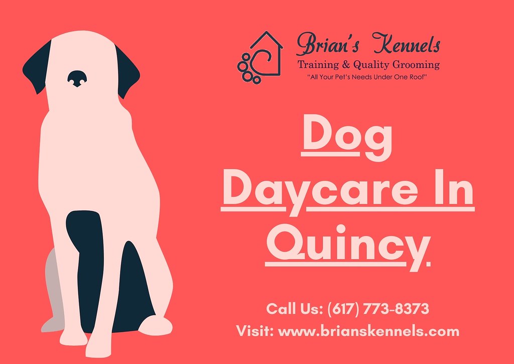 Dog Daycare In Quincy Brians Kennels Brian's Kennels prov… Flickr