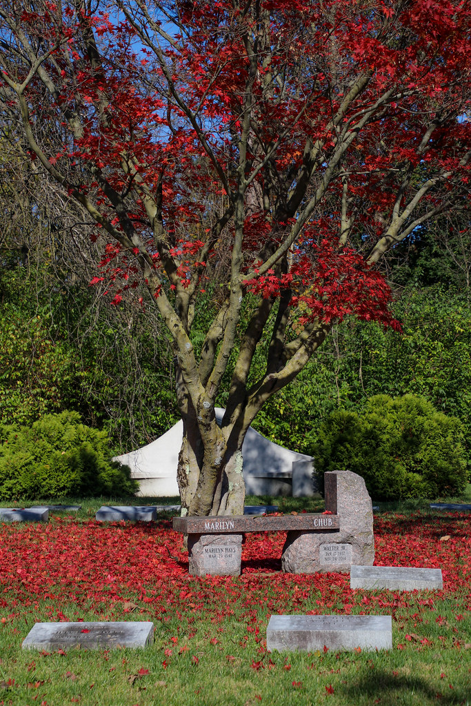 Green Lawn Cemetery October 31, 2020 Green Lawn Cemetery… Flickr