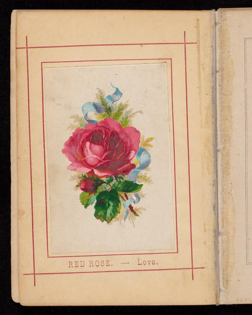 The language and poetry of flowers. (1875) Flickr