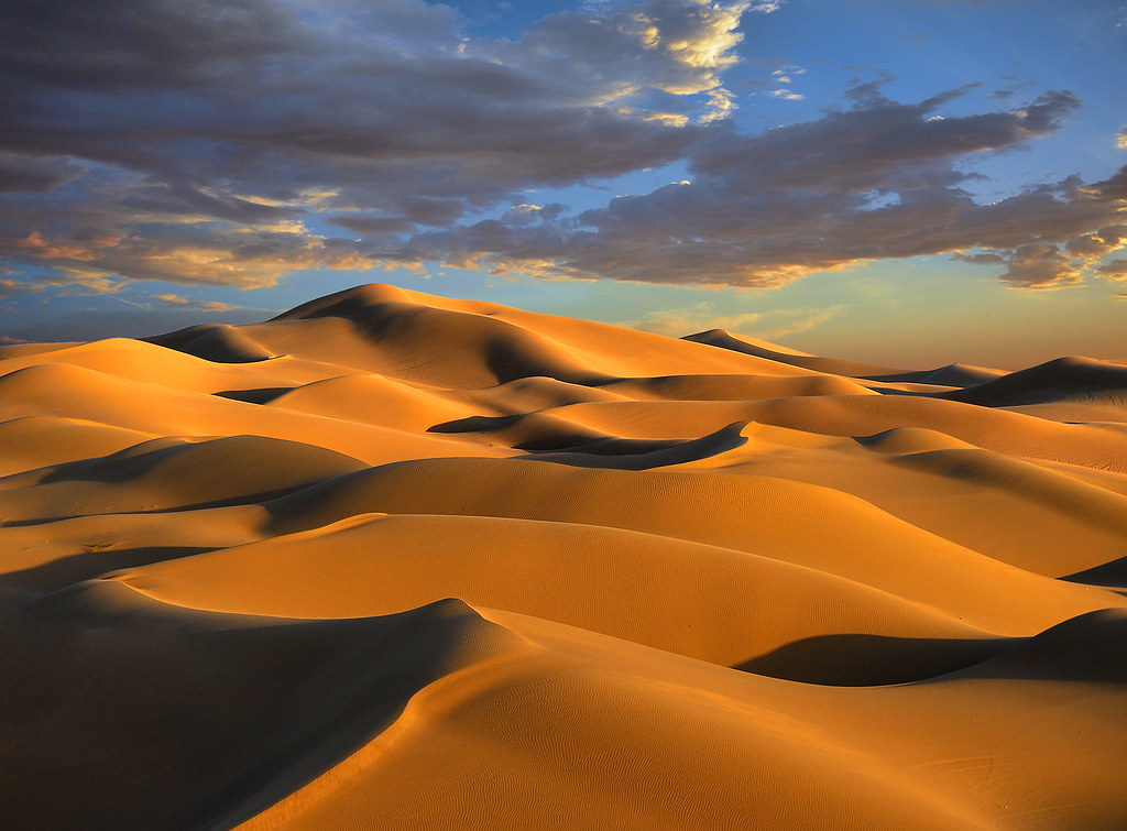 Algodones Dunes tlswan2 Flickr