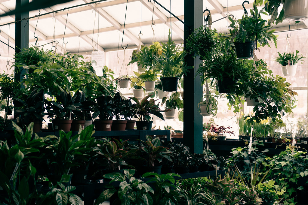 Rosedale Nurseries Flickr