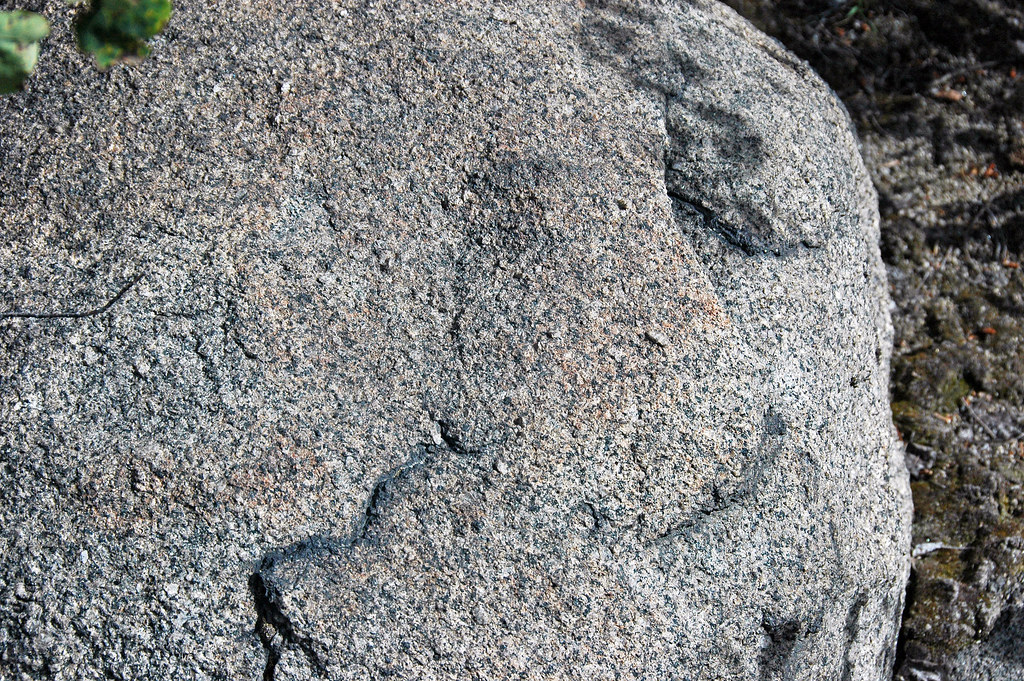 Spheroidal weathering (Butte Quartz Monzonite, Late Cretac… Flickr