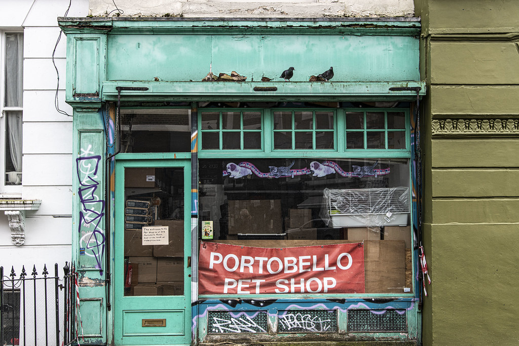 Portobello Pet Shop Bryan Appleyard Flickr
