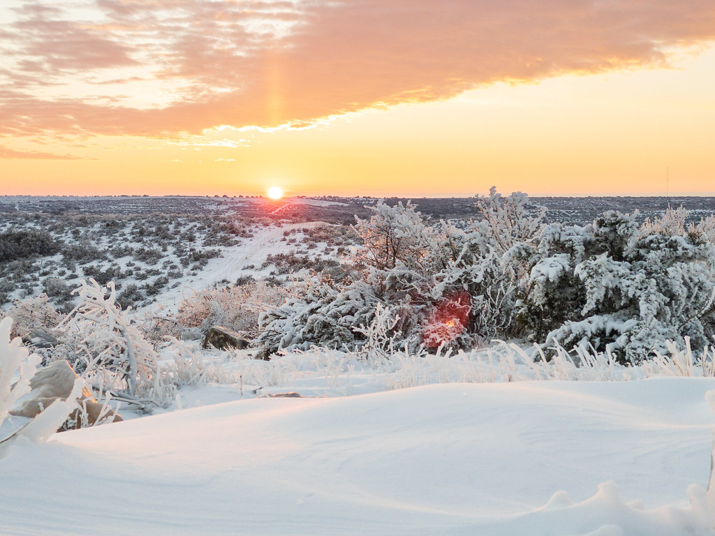 Fire & Ice Texas Winter Storm Uri Jonathan Cutrer Flickr