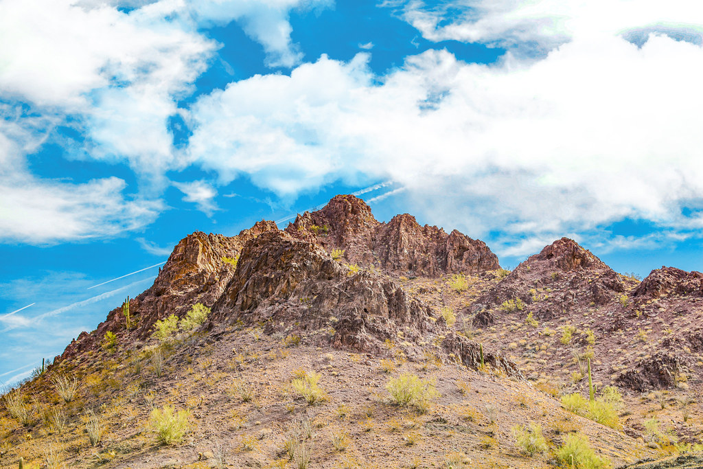 Sonora Desert Yuma Arizona Larry Calhoun Flickr