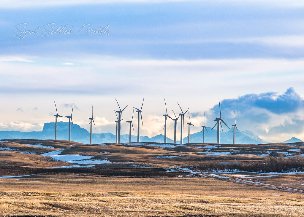 McBride Wind Farm Sigrid Miklos Flickr