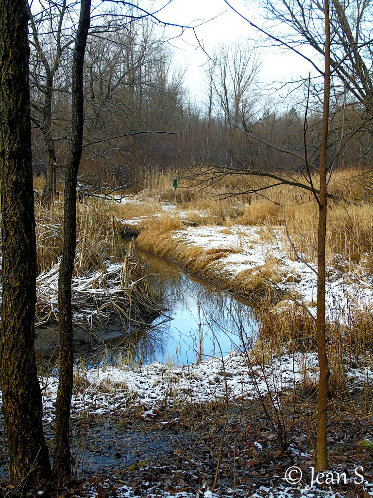 Donnacona, Québec décembre 2020. Jean S. Flickr