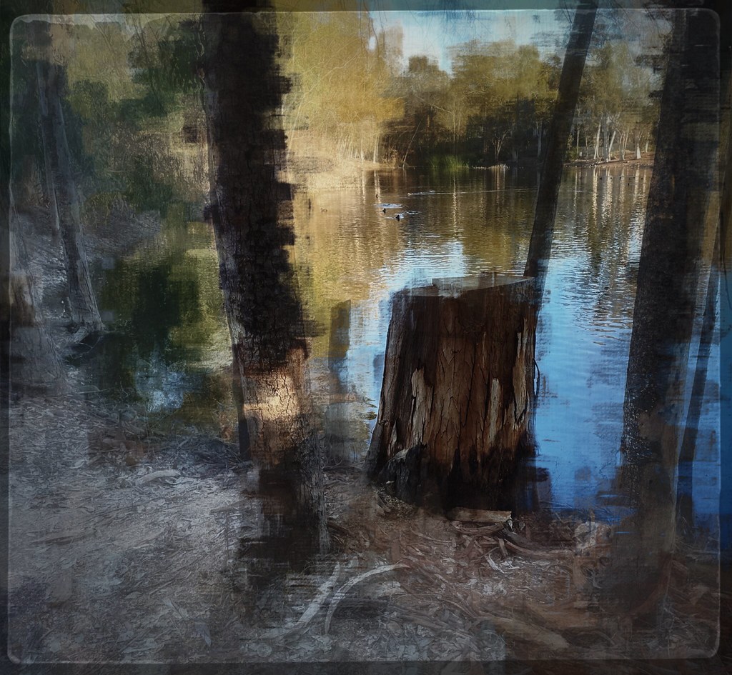 Evans Pond Kathy Clay Flickr