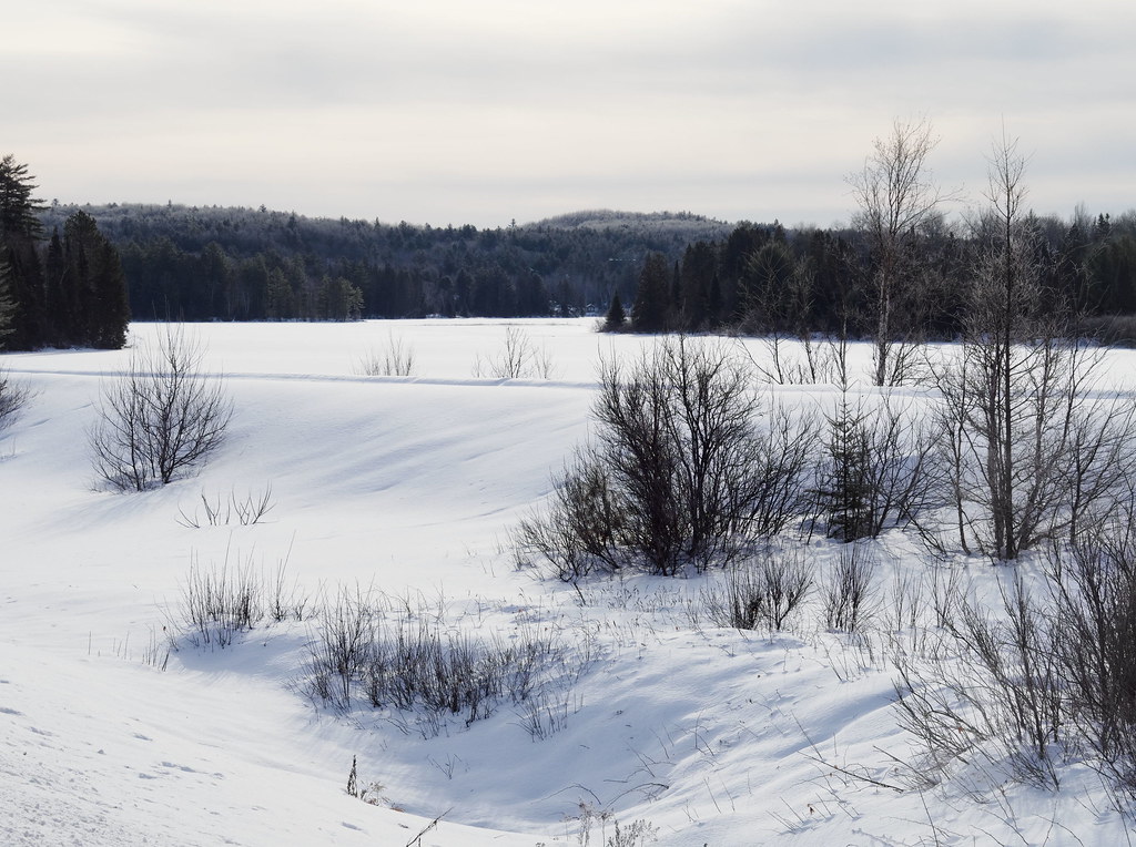 Mackey Creek The mouth of Mackey Creek has been permanentl… Flickr