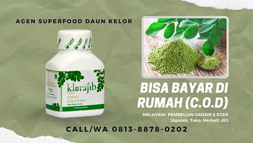 TERLARIS, CALL/WA 081388780202, Ekstrak Daun Kelor Di Ap… Flickr