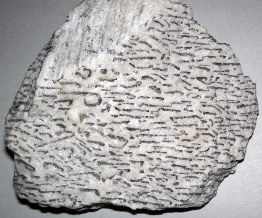 Graphic granite (Brunswick Pegmatite Field, DevonianPermian; Fisher