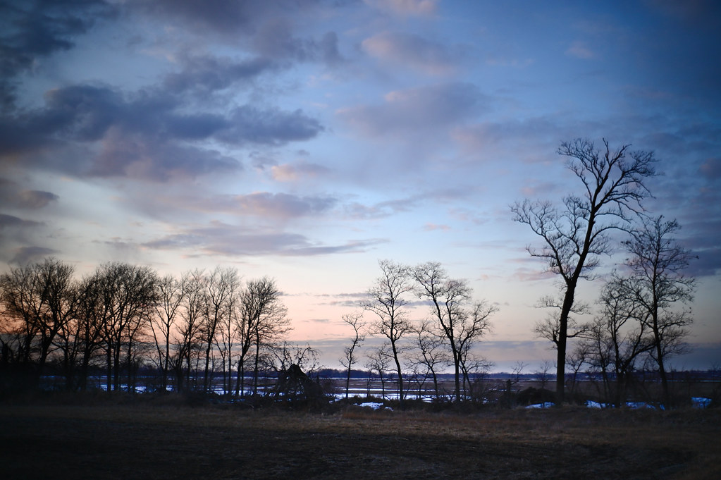 Treeline Rural Jasper County, IA, USA. Kyoei W. Acall 35mm… Flickr