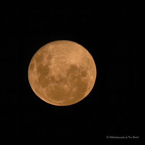 Paschal Full Moon.. rising in the Eastern sky NS… Flickr