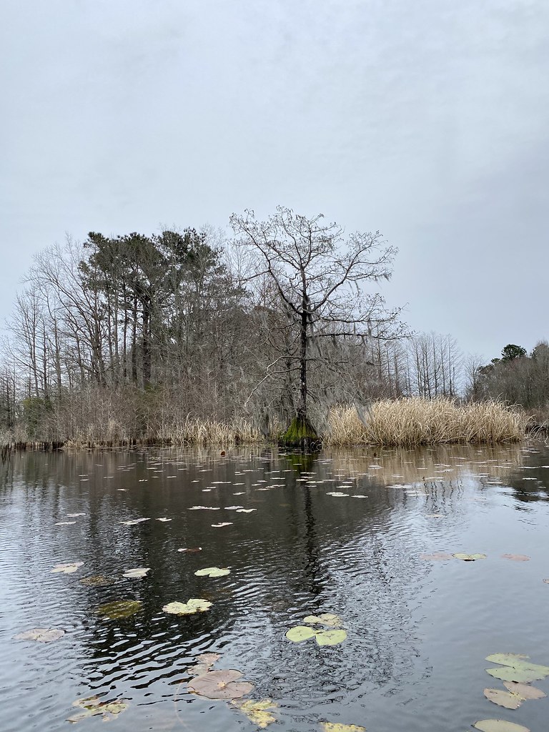 Lake Moultrie, South Carolina Lake Moultrie is the third l… Flickr