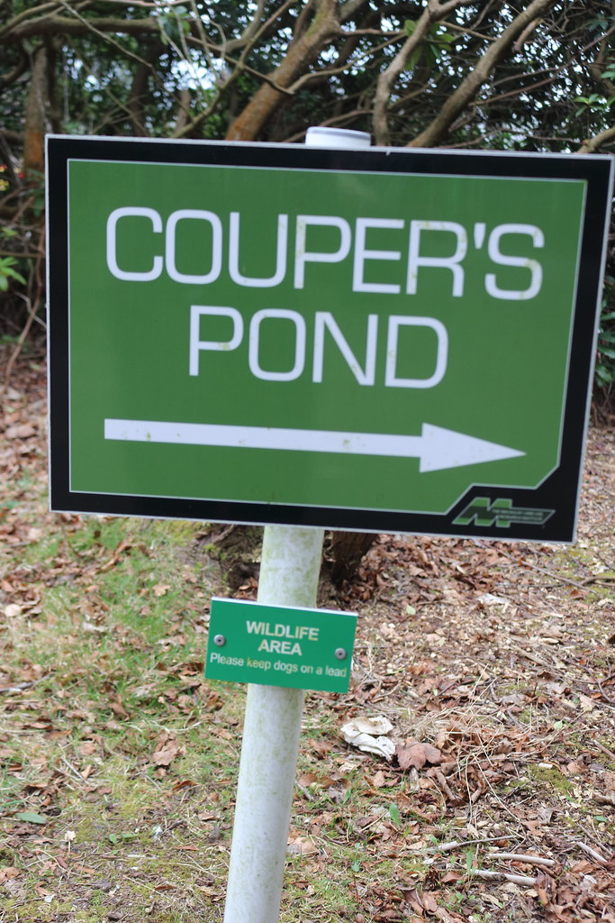 Coupers Pond,Macaulay Drive,Aberdeen_mar 21_4867 Alan Longmuir. Flickr