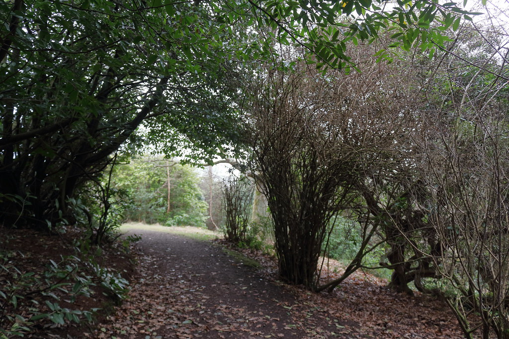 Coupers Pond,Macaulay Drive,Aberdeen_mar 21_4905 Alan Longmuir. Flickr