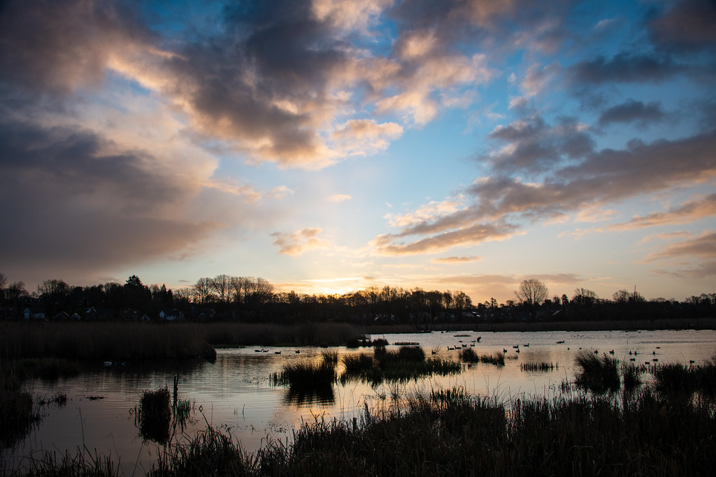 Dawn, Fishlake Meadows Romsey3 13032021 Andy Louch Flickr