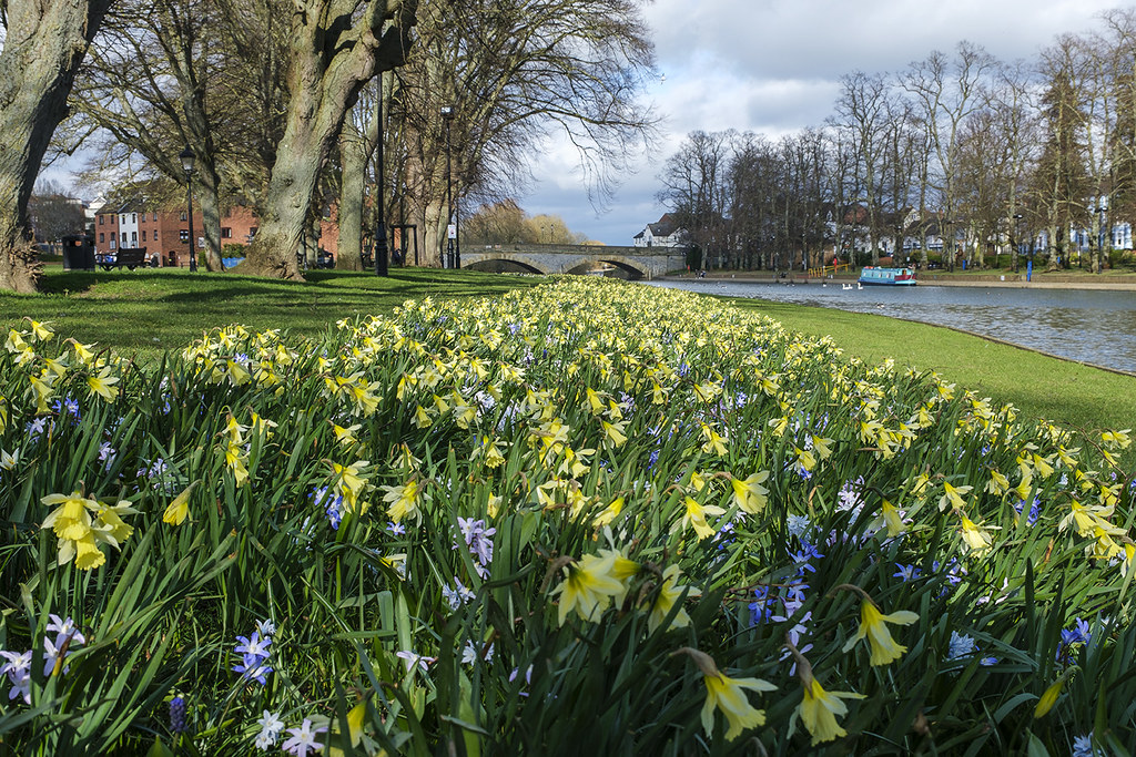 Riverside Spring flowers Evesham, Worcestershire. Flickr