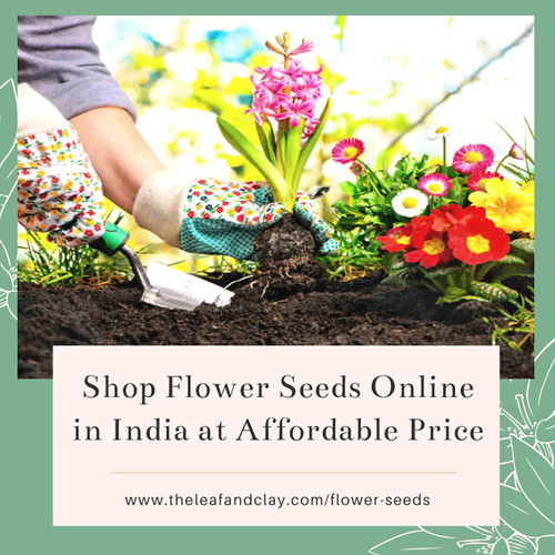 Shop Flower Seeds in India at Affordable Prices Looking fo… Flickr