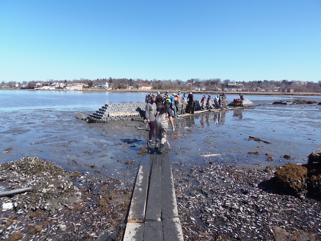 20210320 Little Neck Bay Oyster Castles Day 1 Flickr