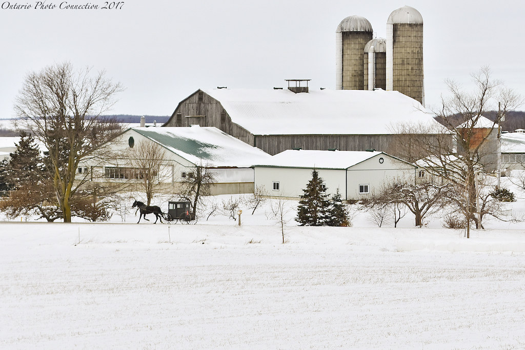 11067 Wallenstein Ontario 2017 ontario photo connection Flickr