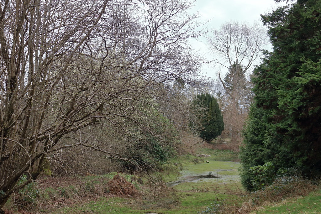Coupers Pond,Macaulay Drive,Aberdeen_mar 21_4874 Alan Longmuir. Flickr