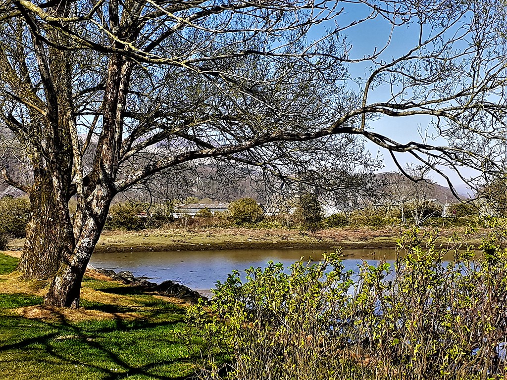 Porthmadog Another view and grass picnic area Trisha Gaskin Flickr