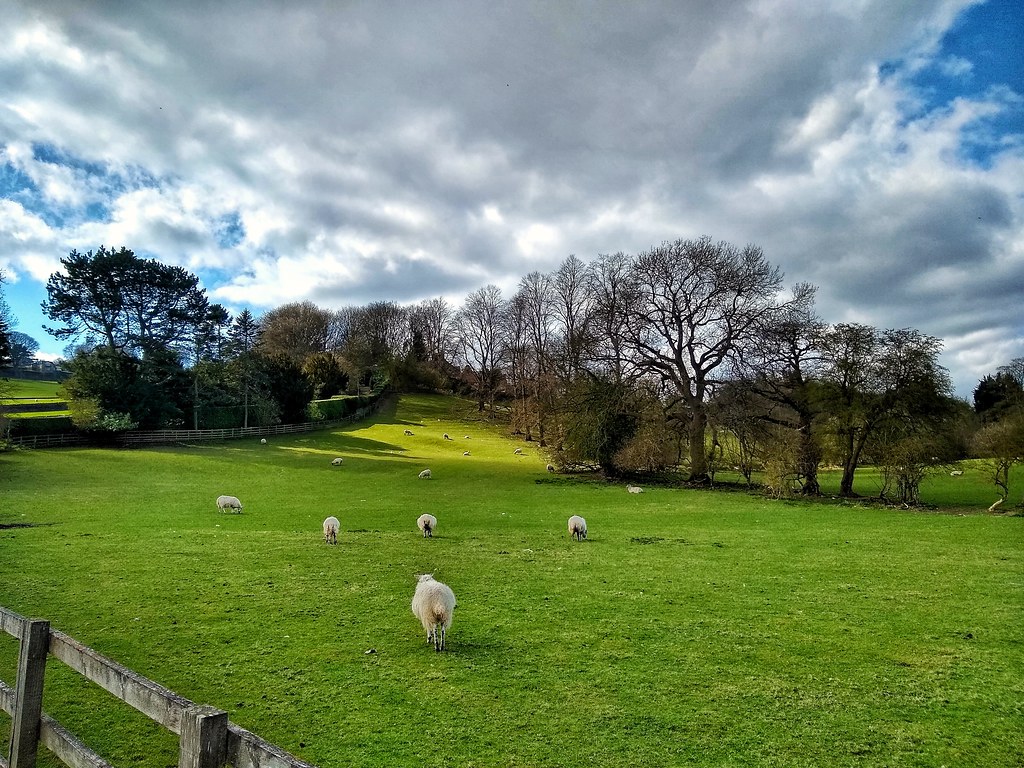 Nice field Burley In Wharfedale Steven Feather Flickr