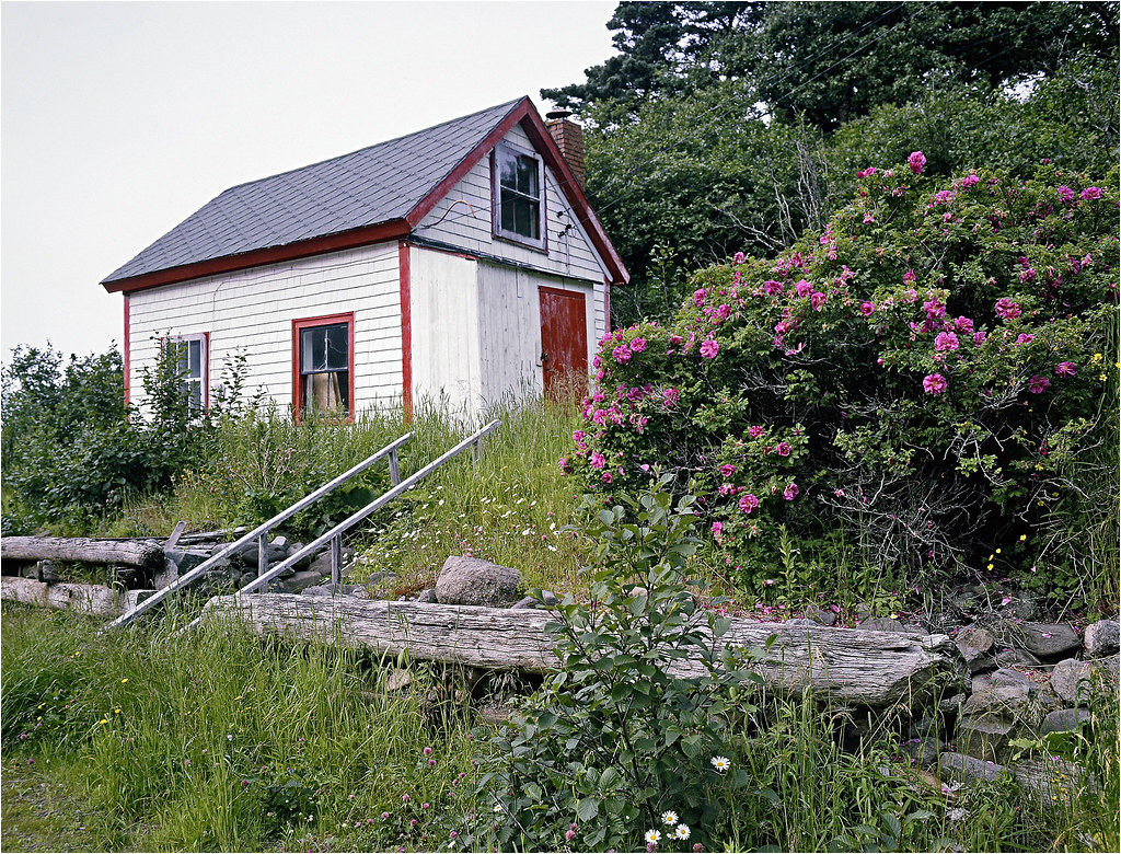 Chipman Brook, Nova Scotia Taken in July of 1987, this is … Flickr