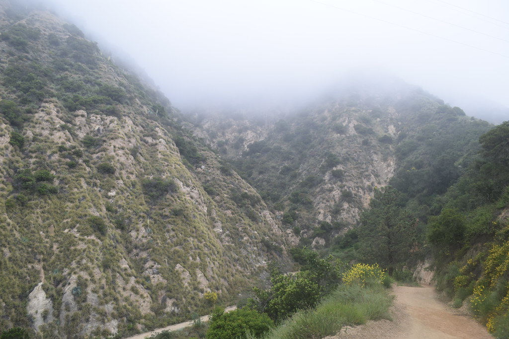 Eaton Canyon and Henninger Flats Flickr