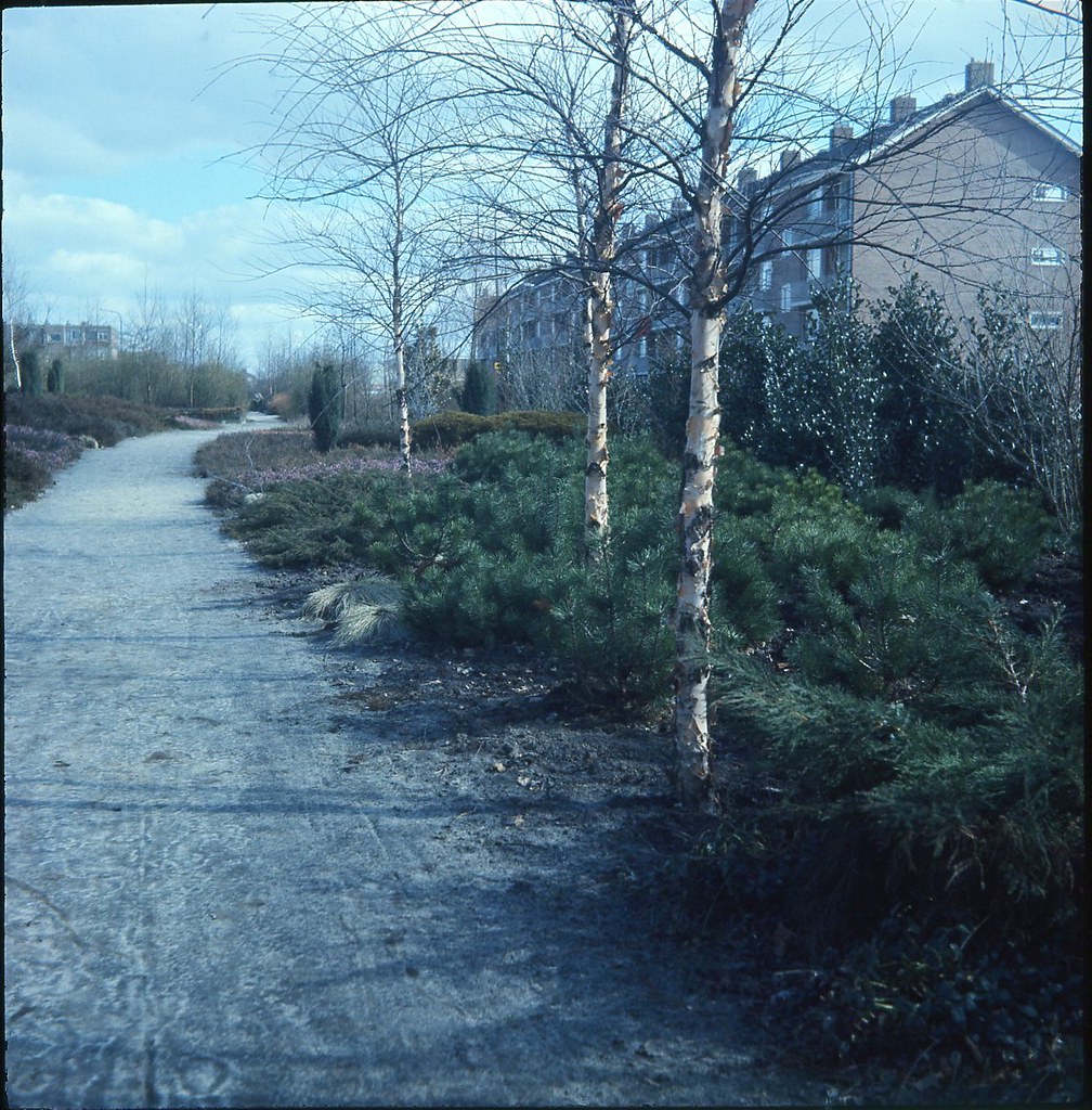 Kennedylaan 026 Beginjaren van de Le Roy tuin, de ecokathe… Flickr